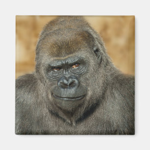 Aimant Gorilla