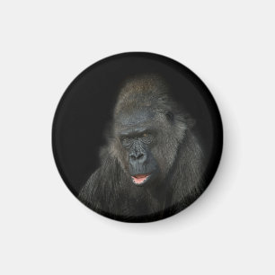 Aimant Gorilla Biddy