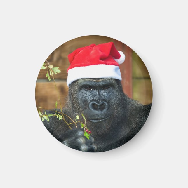 Aimant Gorilla Festive Cheer Unleashed (Devant)