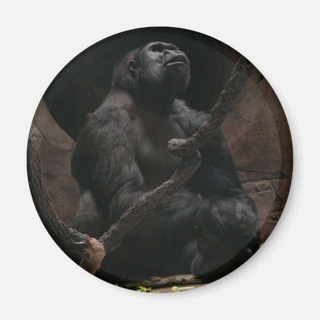 Aimant Gorilla /Magnet rond (Devant)