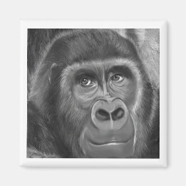 Aimant Gorilla sucking fingers Magnet2指しゃぶりのゴリラマグネット