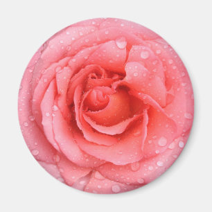 Aimant Gouttes d'eau de rose rose rouge romantique