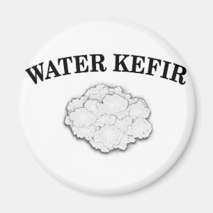 Aimant Grains Kefir