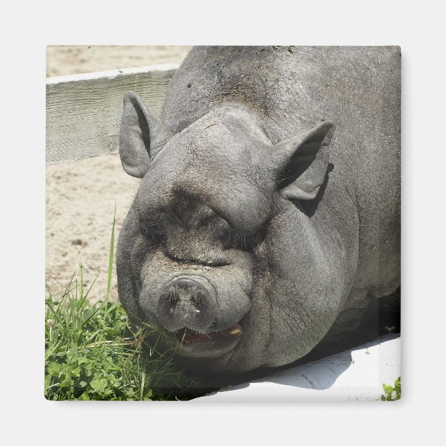 Aimant Graisse | Agriculture (Devant)