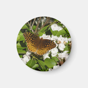 Aimant Grand Fritillaire à Miradors sur Kalmia à Feuilles