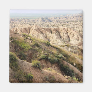 Aimant Grand mouton de la Corne au parc national Badlands