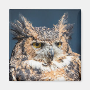 Aimant Grand portrait de hibou à cornes