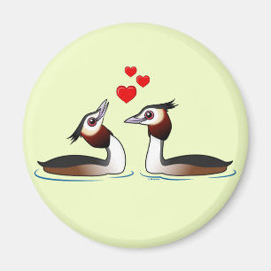 Aimant Grands grèbes crêtés dans l'amour
