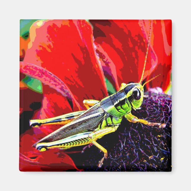Aimant Grasshopper (Devant)