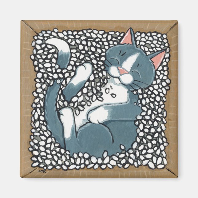 Aimant Gray Tuxedo Chat couchage dans la boîte d'emballag (Devant)