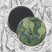 Great Peacock Moth par Vincent van Gogh