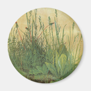 Aimant Great Piece of Turf d'Albrecht Durer, Art Vintage