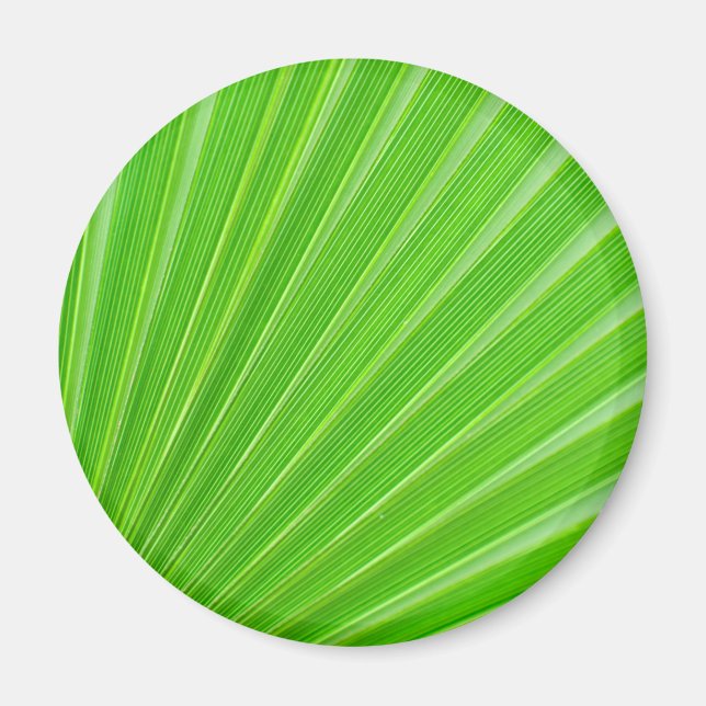 Aimant Green palm (Devant)