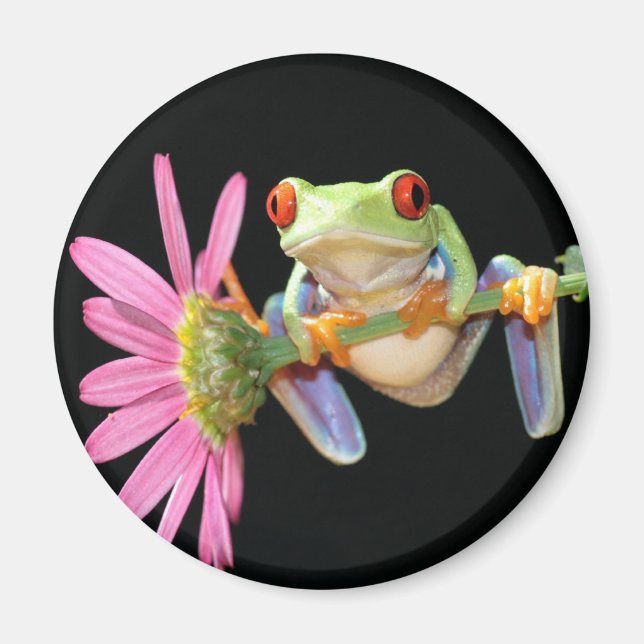 Aimant grenouille (Devant)