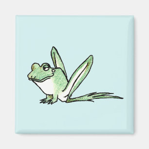 Aimant Grenouille