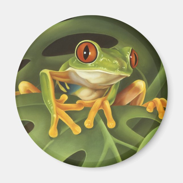 Aimant grenouille à arbre rouge (Devant)