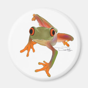 Aimant grenouille fou