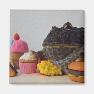 Aimant Grenouille mûre