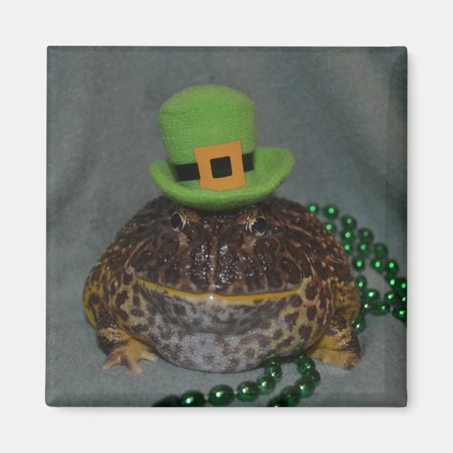 Aimant Grenouille mûre (Devant)