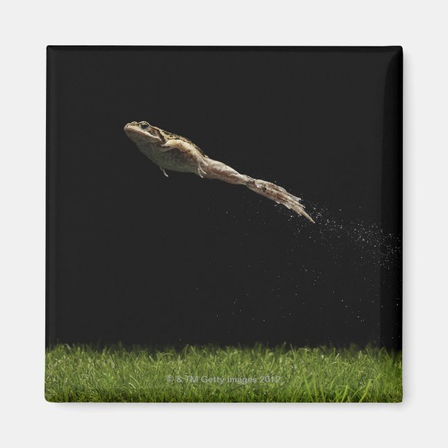 Aimant grenouille sautant de l'herbe verte fraîche (Devant)