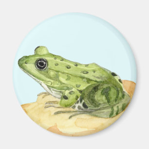 Aimant Grenouille verte