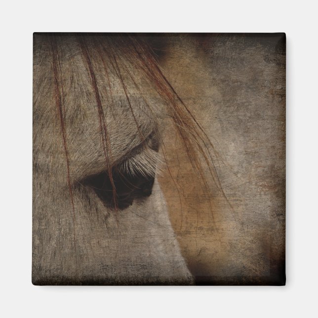 Aimant Gris Cheval Face Grunge (Devant)