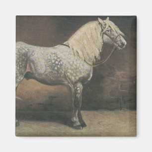 Aimant Gris de pomme vintage