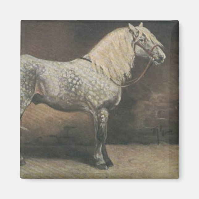 Aimant Gris de pomme vintage (Devant)