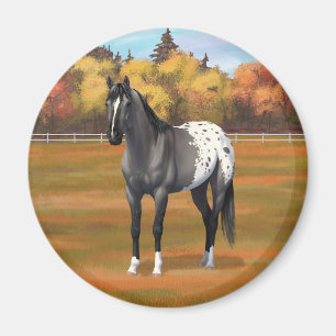 Aimant Gris Grulla Appaloosa Quartier Horse Stallion
