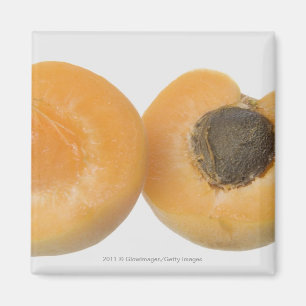 Aimant Gros plan de la section transversale d'un prune