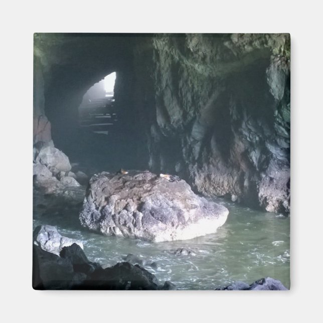 Aimant Grotte de lion de mer, OU (Devant)