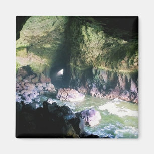 Aimant Grotte de lion de mer, OU
