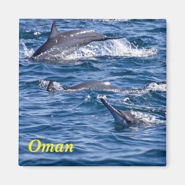 Aimant Groupe de dauphins de goulot - Oman (Devant)