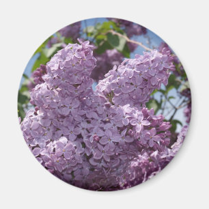 Aimant Groupe lilas