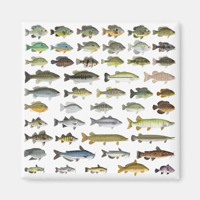 Aimant Groupe nord-américain du poisson d'eau douce (Devant)
