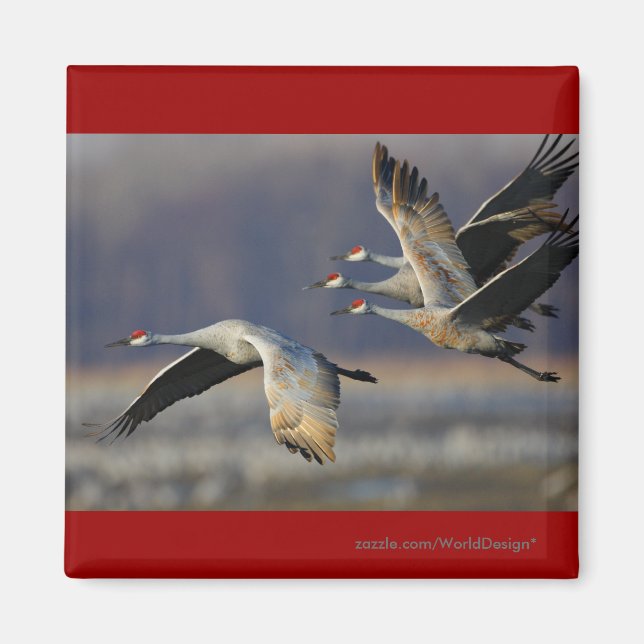 Aimant Grues (Devant)