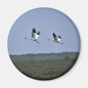 Aimant Grues de huée à la faune nationale Refug d'Arans