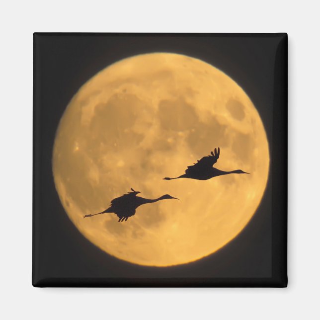 Aimant Grues Sandhill | Réserve nationale de faune (Devant)