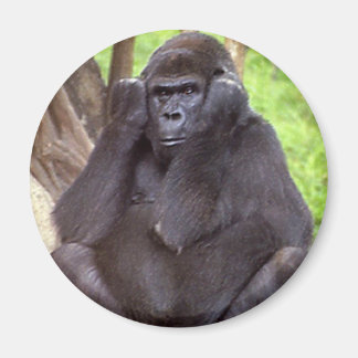 Aimant Grumpy Gorilla