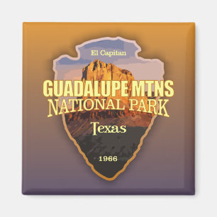 Aimant Guadalupe Mtns NP (pointe de flèche)