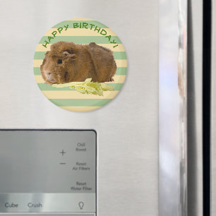 Aimant Guinea Pig Photograph Happy Birthday Template