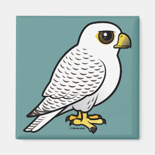 Aimant Gyrfalcon