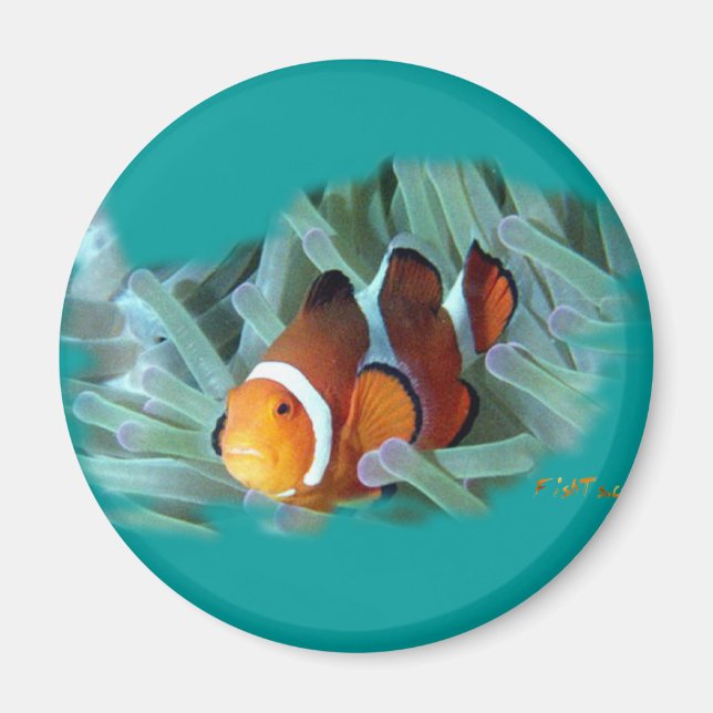 Aimant H2Oasis Clowfish (Devant)