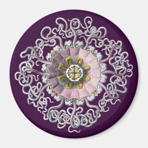 Aimant Haeckel Vintage personnalisable