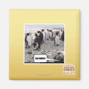 AIMANT HAI MOM ! ! !