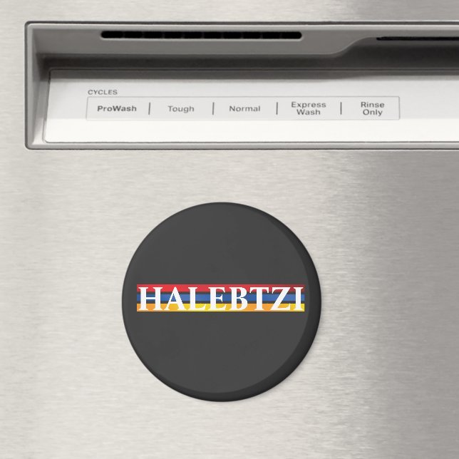 Aimant Halebtzi (In Situ (Lave-vaisselle))