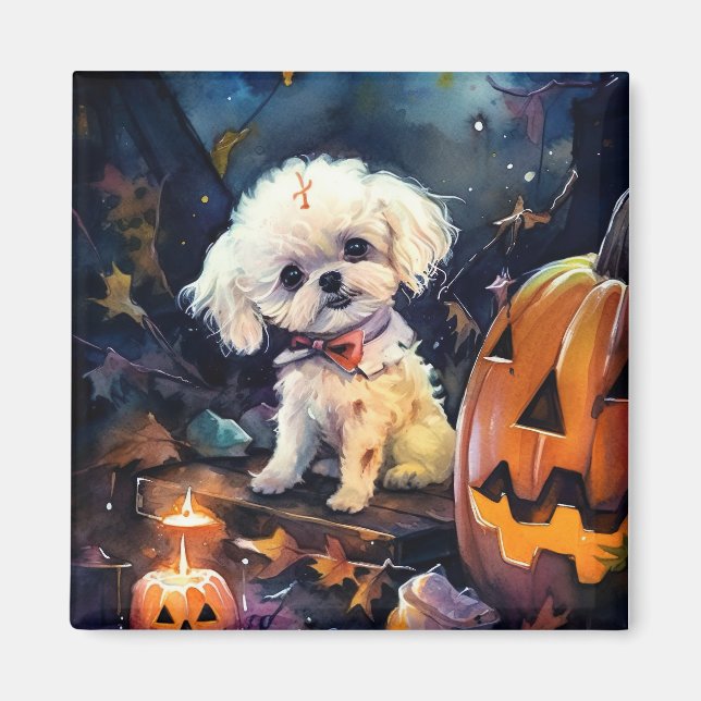 Aimant Halloween Bichon Frise Avec La Peur Citrouille (Devant)