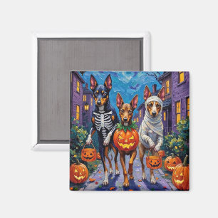 Aimant Halloween de Kelpie australienne