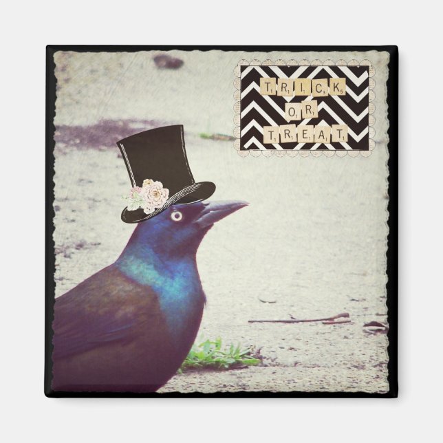 Aimant Halloween Grackle (Devant)