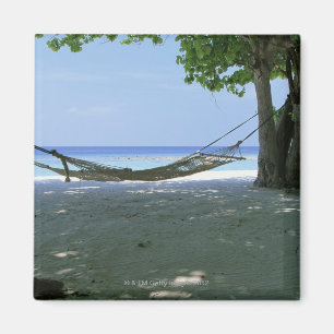 Aimant Hammock 2